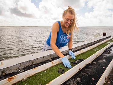 For Coastal Resilience research, a Georgia Southern student wearing gloves collects samples from grass near the coastline.