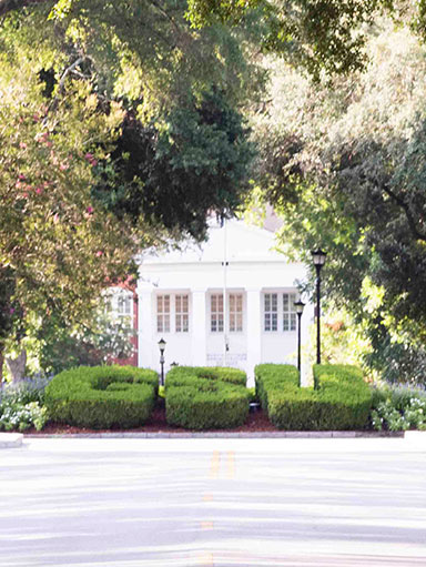 Georgia Southern University's Sweetheart Circle on the Statesboro campus, showcasing the iconic GSU bushes and vibrant greenery, perfect for a serene campus atmosphere.