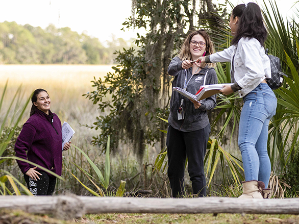 Three students collect samples in a wetlands environment for Georgia Southern's Institute for Water and Health.