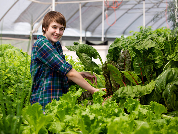 A student from Georgia Southern's College of Science and Mathematics grows lettuce in the Sustainable Aquaponics Research Center