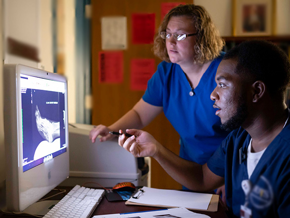 With guidance from a faculty member, a student from Georgia Southern's M.S. in Athletic Training program observes the bones of the foot on a computer screen