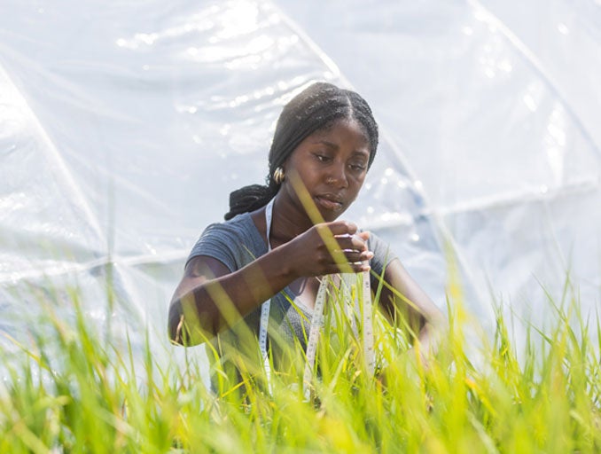 Standing in front of a greenhouse, a Georgia Southern student collects data on the surrounding landscape for a research project.