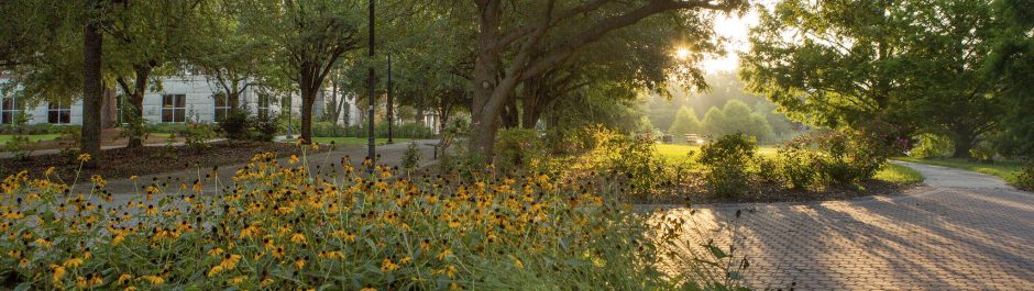 Early morning sunlight slants through spring flowers at the Georgia Southern Statesboro campus.