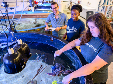 Student researchers from Georgia Southern's M.S. in Psychology, Behavior Analysis move objects around a large pool of water.