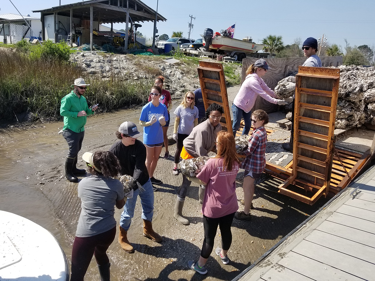 Students work together to establish a new oyster reef restoration site on Hutchinson Island at the Ashepoo River.