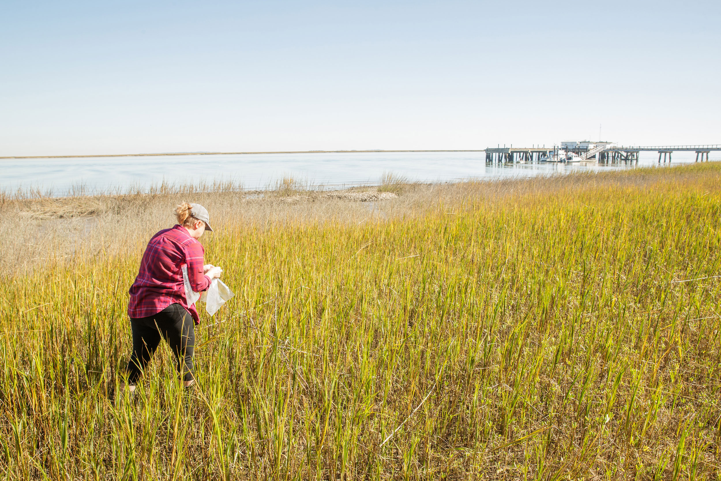 Georgia Southern M.S. in Environmental Science