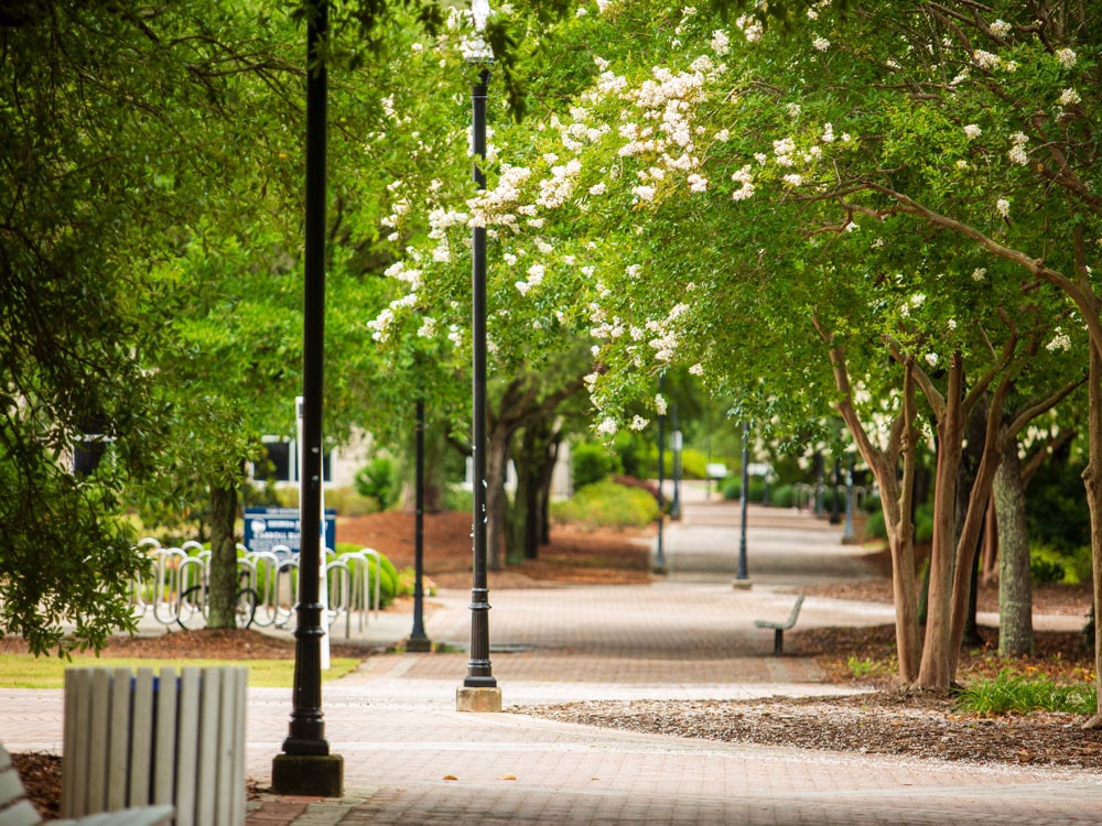 A tree-lined brick walkway going through Georgia Southern's Statesboro Campus