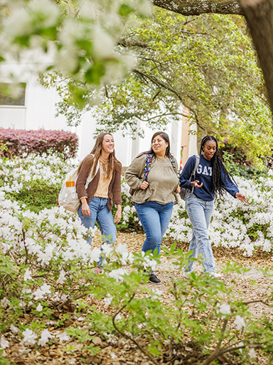 Students walking among flowers on Statesboro Campus