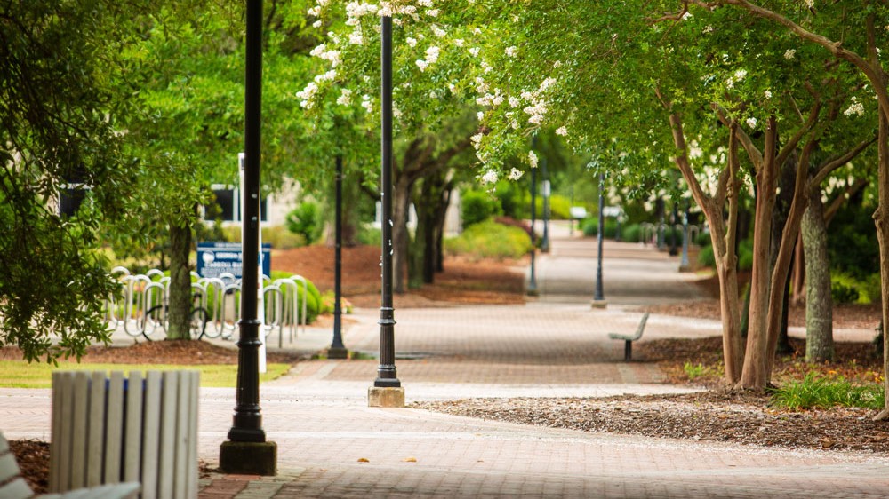 A tree-lined brick walkway leading through Georgia Southern's Statesboro Campus.