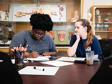 Students study together in a human physiology lab.