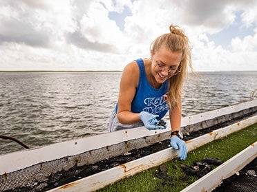 A biology major at Georgia Southern collects samples near the coastline for a research project