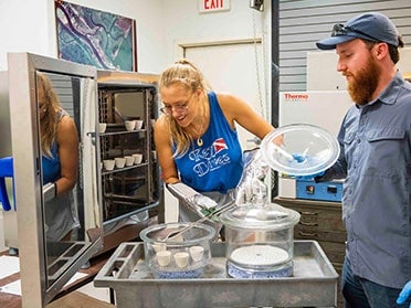 In the Coastal Research Lab, two students from Georgia Southern's B.S. in Geosciences program organize and store samples