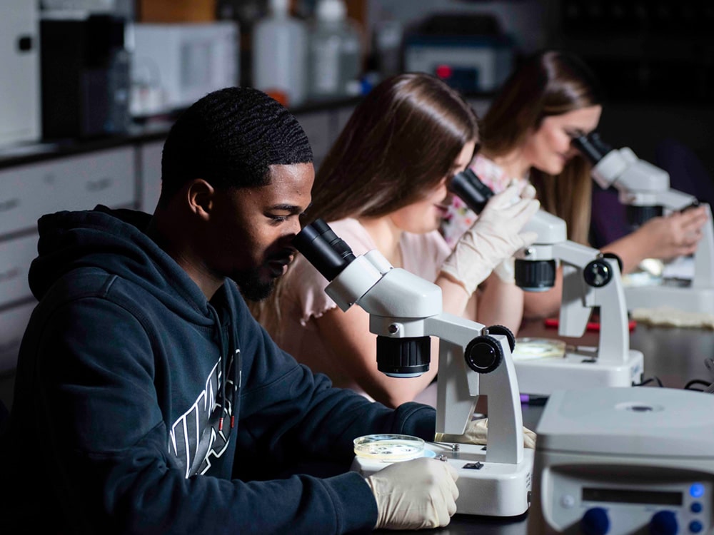 Students participating in Georgia Southern's Biology Organization of Graduate Students study samples in petri dshes under microscopes.