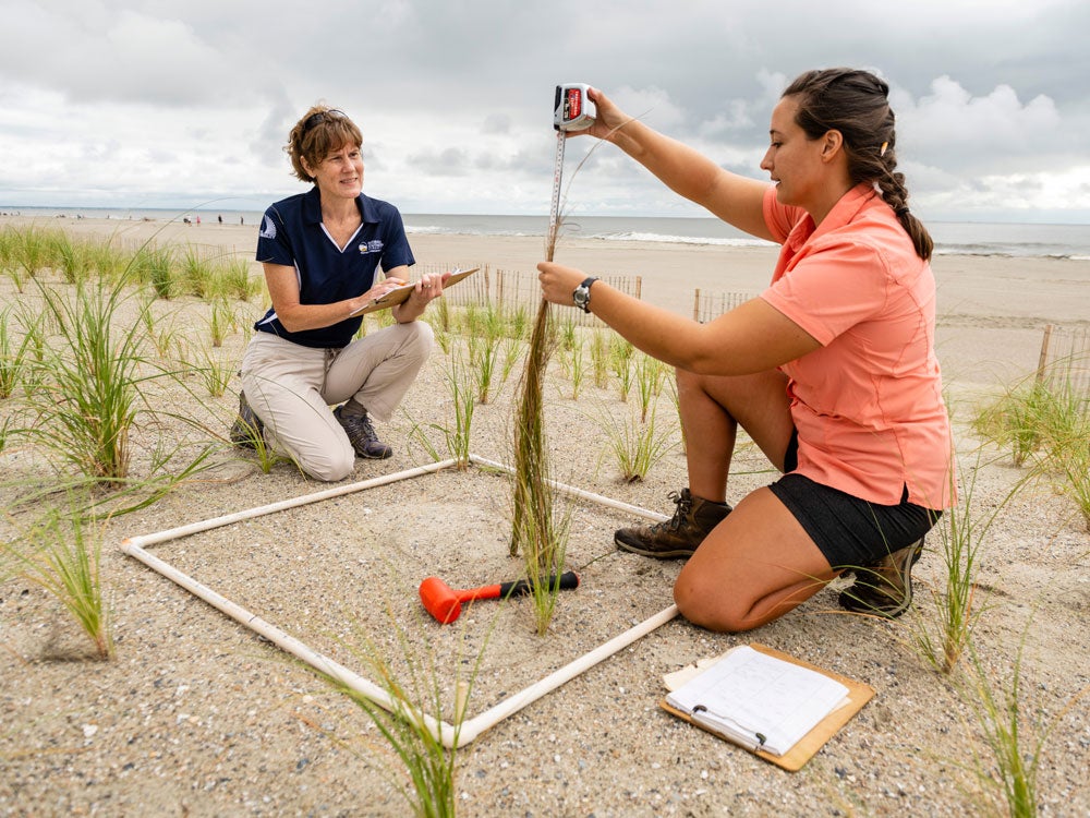 Georgia Southern M.S. in Environmental Science Research