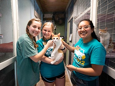 As part of a community outreach initiative, three Georgia Southern students perform volunteer work for an animal shelter.