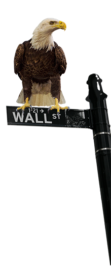 A bald eagle sits atop the Wall Street sign.